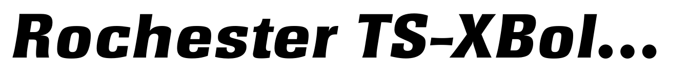 Rochester TS-XBold Italic